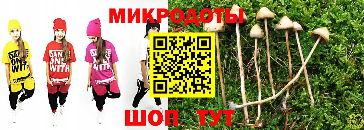 Галлюциногенные грибы Cubensis Саратов